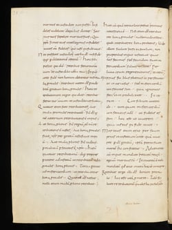 codex/St_Galler_Schreibervers/e-codices_csg-0166_314_max.jpg