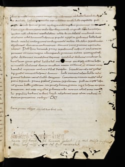 codex/St_Galler_Schreibervers/e-codices_csg-0623_209_max.jpg